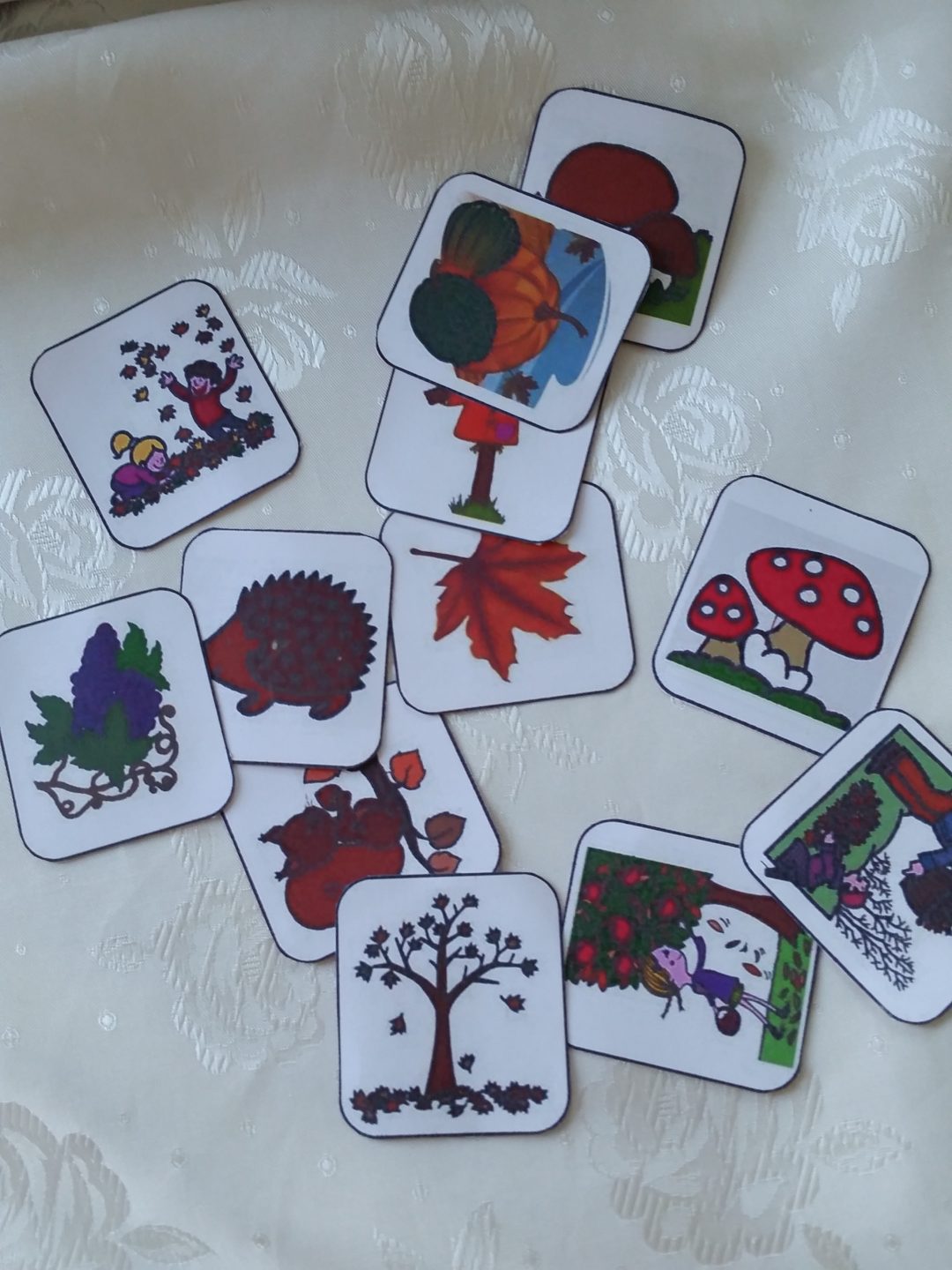 Comment Plastifier Des Petites Cartes 3 méthodes pour plastifier tous vos documents. - 1,2,3 petites graines