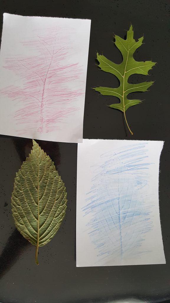 dessins en reliefs feuilles d'automne