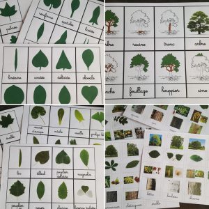 les arbres cartes de nomenclature