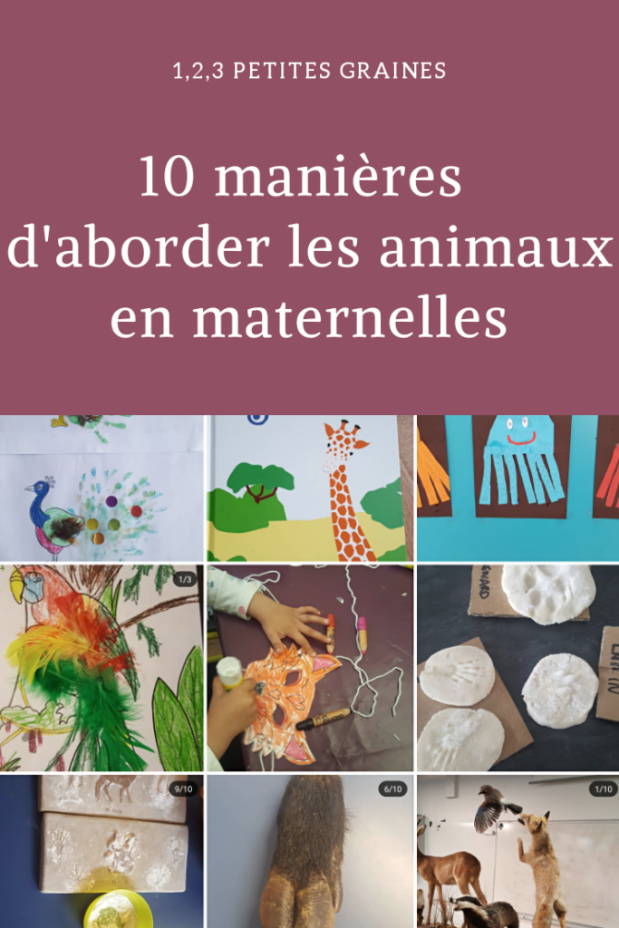 10 manières d'aborder les animaux en maternelle