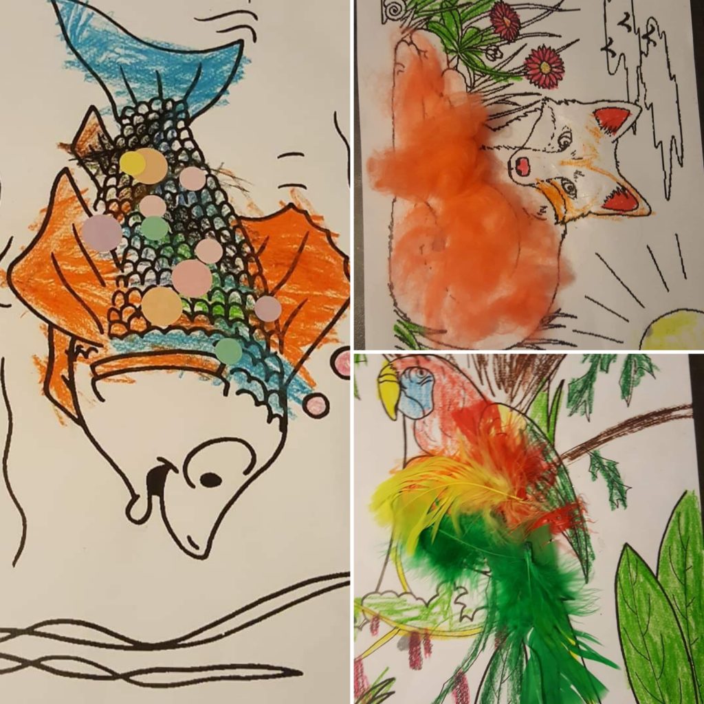 Arts-visuels-maternelle-animaux-plumage-pelage