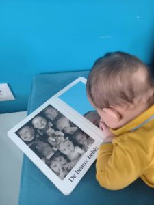 Sélection de livres pour bébés de moins de 6 mois - 1,2,3 petites graines