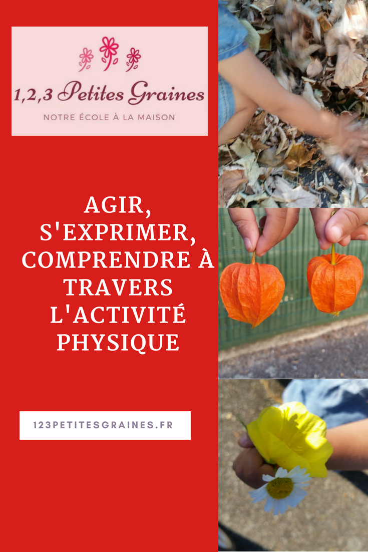 Agir S Exprimer Comprendre à Travers L Activité Physique