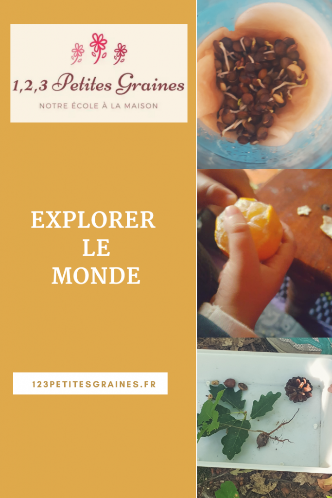 explorer le monde maternelle