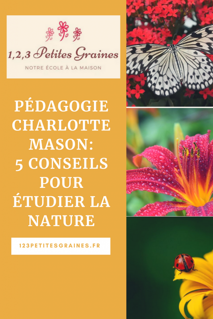 5 conseils pour étudier la nature en maternelle