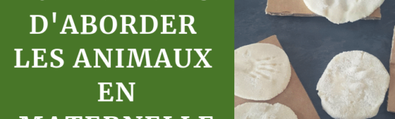 10 manières d’aborder les animaux en maternelle